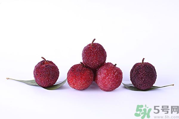 楊梅和梅子是一樣的嗎？楊梅和梅子有什么區(qū)別？