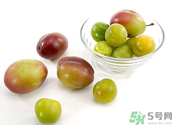楊梅和梅子是一樣的嗎？楊梅和梅子有什么區(qū)別？