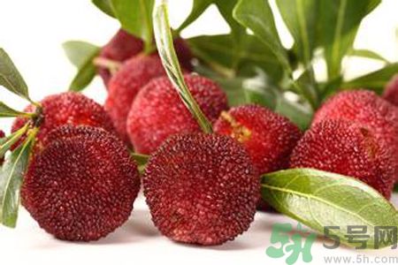 楊梅是酸性還是堿性？楊梅是酸性的嗎？