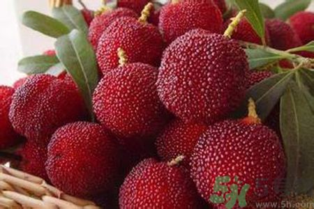 胃潰瘍可以吃楊梅嗎？胃潰瘍吃楊梅好嗎？