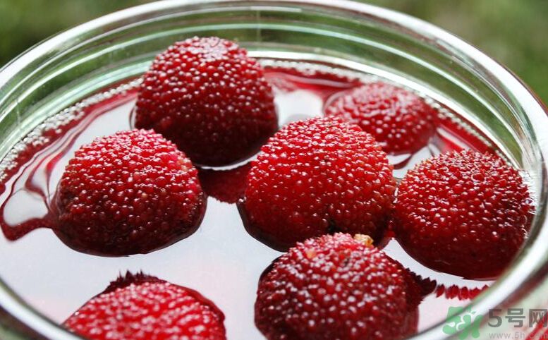 寶寶可以吃楊梅嗎？寶寶多大可以吃楊梅？