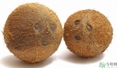 椰子能帶上飛機(jī)嗎？坐飛機(jī)能帶椰子嗎?