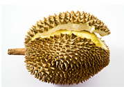 吃榴蓮會(huì)上火嗎？榴蓮是發(fā)物嗎？