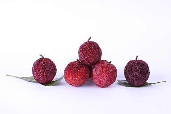 楊梅和梅子是一樣的嗎？楊梅和梅子有什么區(qū)別？