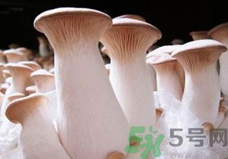 吃杏鮑菇有什么好處？吃杏鮑菇對(duì)身體好嗎？