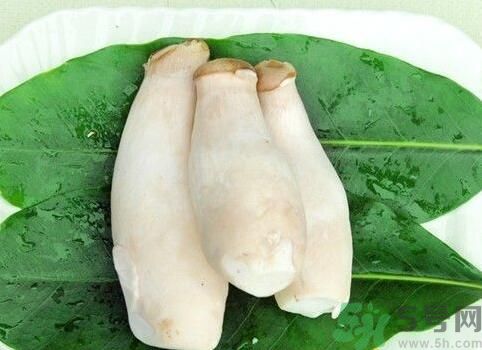 吃杏鮑菇有什么好處？吃杏鮑菇對(duì)身體好嗎？