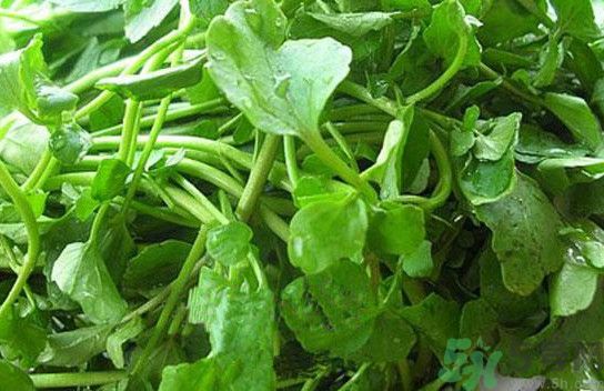 水腫能吃茄子嗎？茄子能消水腫嗎？