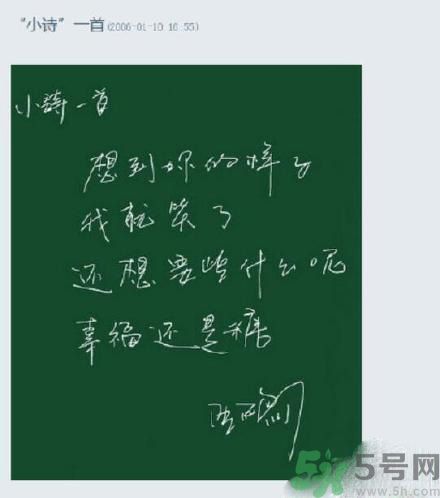 李亞鵬寫(xiě)給王菲的情詩(shī)寫(xiě)了什么？王菲和李亞鵬為什么離婚？