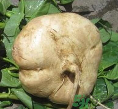 地瓜可不可以生吃？地瓜生吃好嗎？