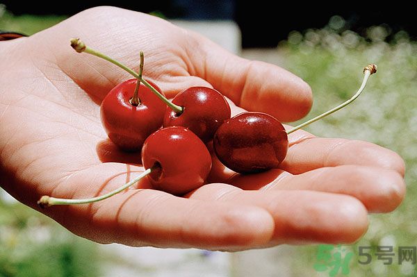 櫻桃吃多了會(huì)中毒嗎？櫻桃吃多了會(huì)拉肚子嗎？