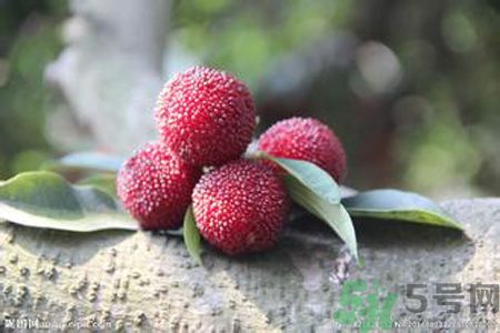 吃楊梅會上火嗎？吃楊梅上火怎么辦？