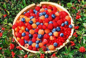 痛風(fēng)能吃櫻桃嗎？痛風(fēng)吃櫻桃可不可以？