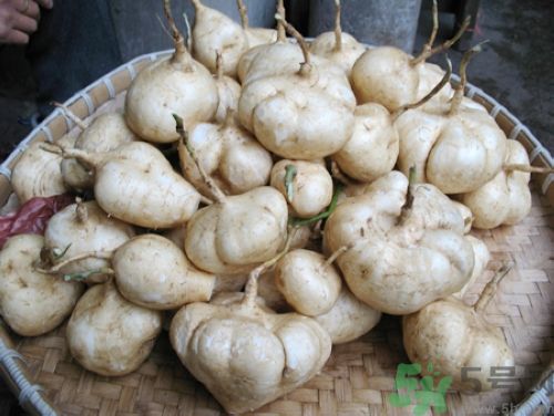 白地瓜怎么做好吃？白地瓜的做法有哪些？