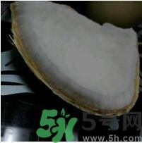 椰子可以放冰箱嗎？椰子放冰箱容易壞嗎？