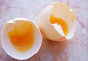 蛋黃粘在蛋殼上還能吃嗎?雞蛋黃粘在殼上還能吃嗎?