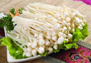 吃金針菇有什么好處？吃金針菇對(duì)身體好嗎？