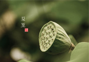 夏至有什么習(xí)俗？夏至吃什么傳統(tǒng)食物？