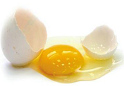 蛋黃散了還能吃嗎?蛋黃散了的雞蛋能吃嗎?