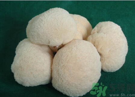 吃猴頭菇有什么好處？猴頭菇有什么營養(yǎng)價(jià)值？