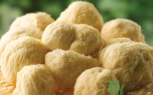 吃猴頭菇有什么好處？猴頭菇有什么營養(yǎng)價(jià)值？