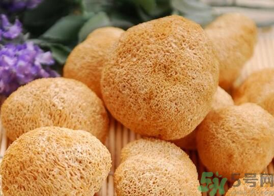 猴頭菇粉怎么做？猴頭菇餅干怎么做？