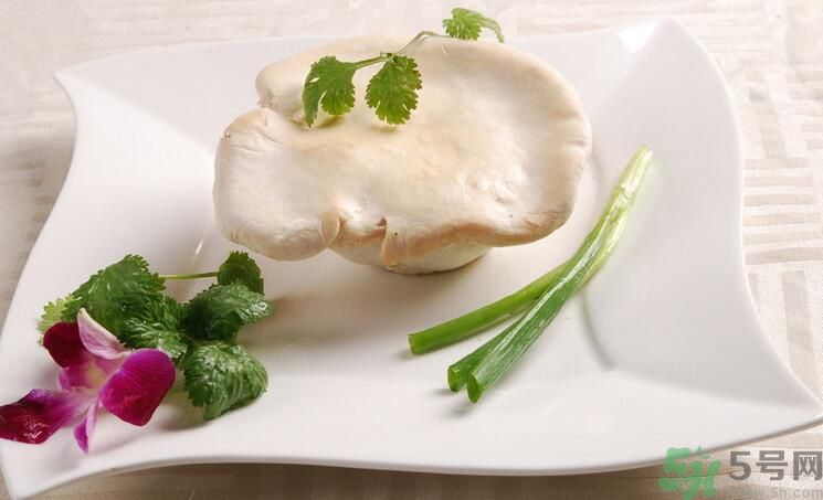 白靈菇和杏鮑菇有什么區(qū)別？白靈菇有什么營(yíng)養(yǎng)價(jià)值？