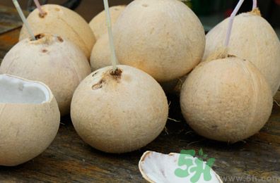 孕婦能吃椰子嗎？孕婦能喝椰子汁嗎？