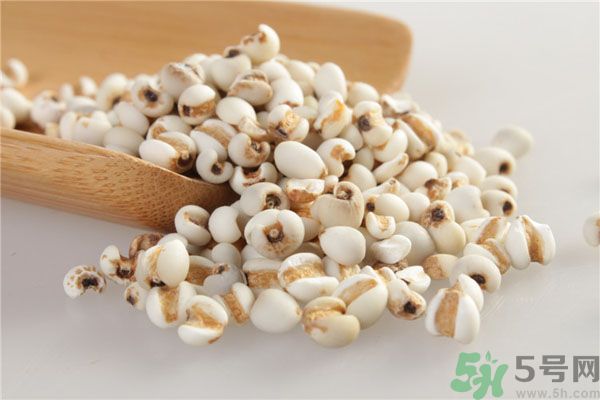 祛濕吃什么好？吃什么可以祛濕？