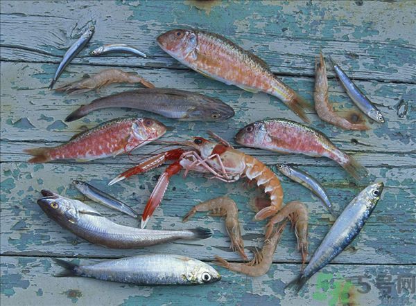 死蝦被稱腦死亡 死蝦吃了會怎么樣？