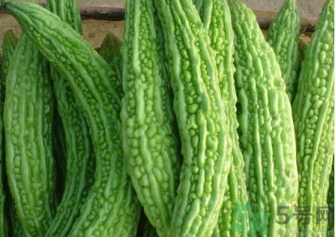 苦瓜的皮可以吃嗎？苦瓜要不要削皮？