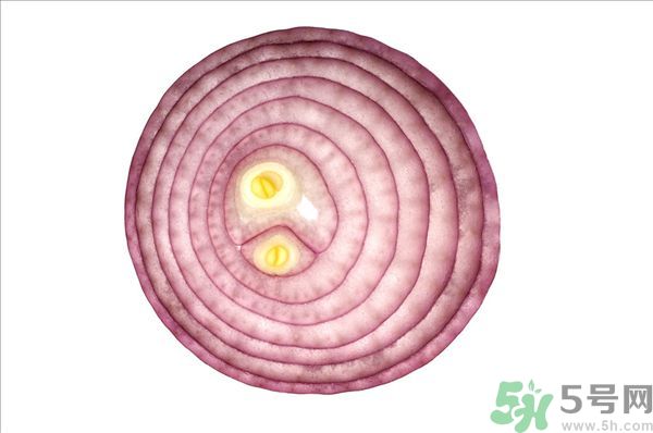 吃洋蔥上火嗎？吃洋蔥會(huì)上火嗎？