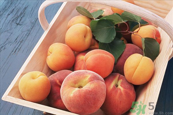 吃桃子會脹氣嗎？吃桃子注意事項有哪些？