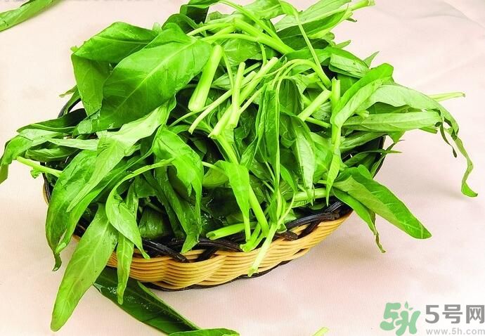 空心菜有什么功效？空心菜的功效是什么？