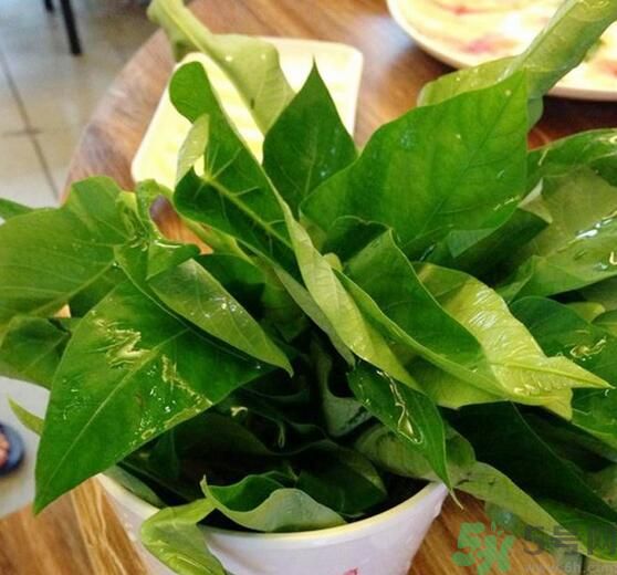 空心菜泡水了還能吃嗎？泡水的空心菜可以吃嗎？