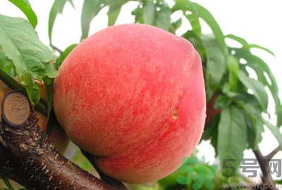吃桃子怎么去毛？吃桃子有什么技巧？