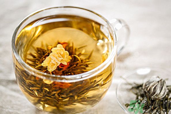 茉莉花綠茶加苦瓜能減肥嗎？茉莉花和苦瓜泡水喝嗎？