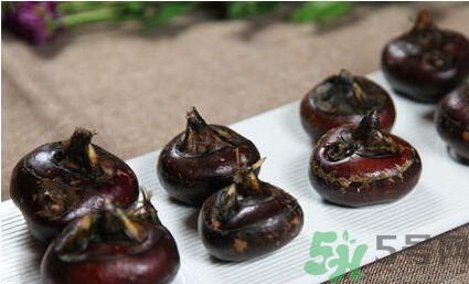 荸薺是寒性還是熱性？荸薺是寒性嗎？