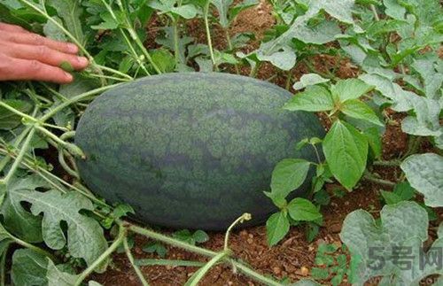 1462763527462264.jpg 20150420112658735.jpg