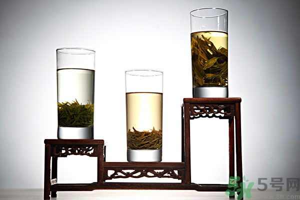 茯苓和苦丁茶能一起泡嗎？茯苓可以和苦丁茶一起喝嗎？