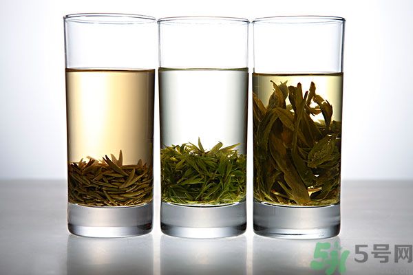 茯苓和苦丁茶能一起泡嗎？茯苓可以和苦丁茶一起喝嗎？