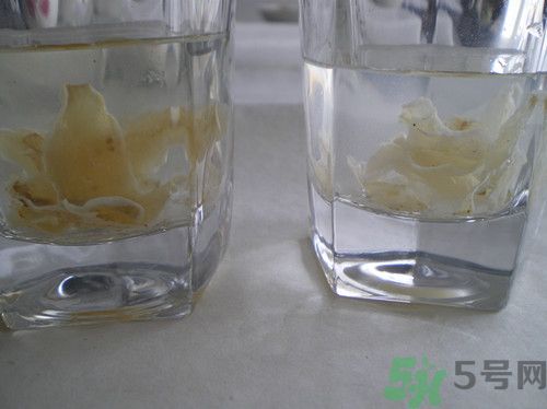 硫磺熏過(guò)的百合能吃嗎？如何辨別硫磺熏過(guò)的百合？