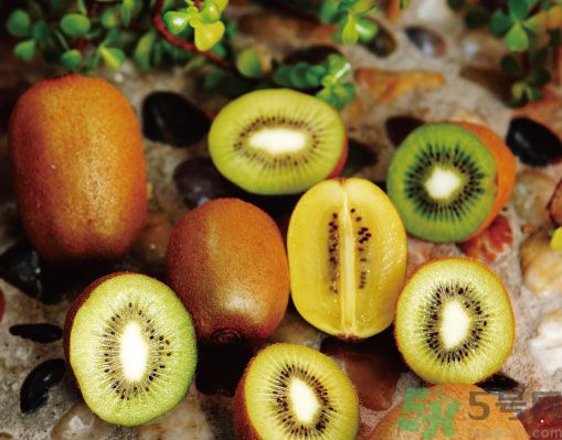 獼猴桃扁嘴的好嗎？獼猴桃扁嘴好還是尖嘴好？