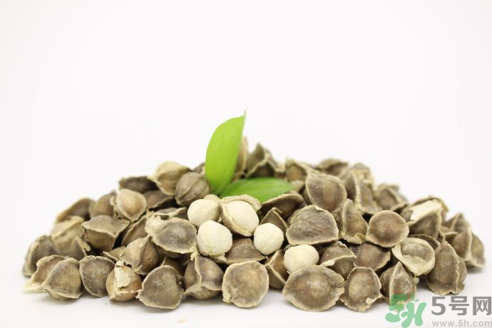 黃瓜和辣木籽能一起吃嗎？吃了黃瓜能吃辣木籽嗎？