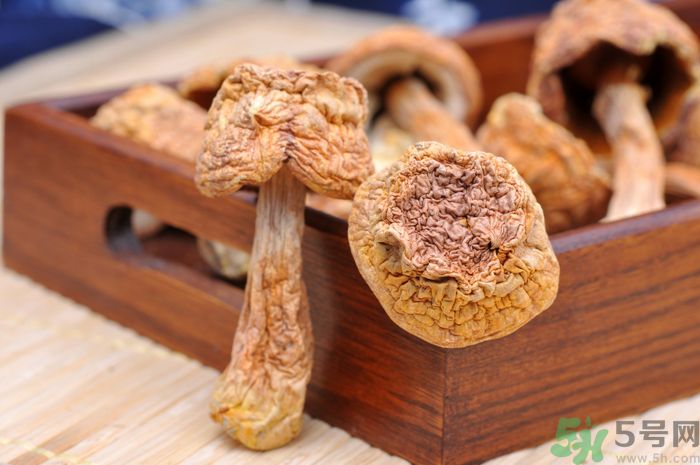 姬松茸燉豬蹄能放花生嗎？姬松茸燉豬蹄的做法？