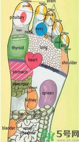 發(fā)燒可以吃洋蔥嗎？發(fā)燒能吃洋蔥嗎？