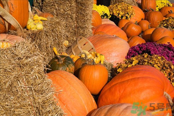 南瓜去水腫嗎？南瓜能消腫嗎？