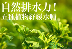 南瓜去水腫嗎？南瓜能消腫嗎？