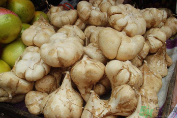 涼薯吃多了好嗎？地瓜吃多了會上火嗎？