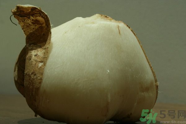 涼薯吃多了好嗎？地瓜吃多了會(huì)上火嗎？