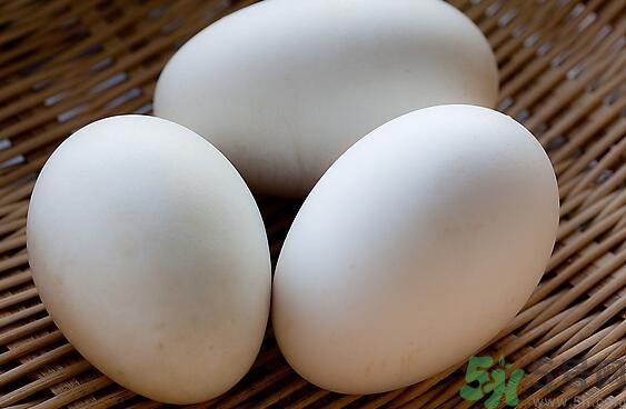 鵝蛋可以清火嗎？鵝蛋可以降火嗎？